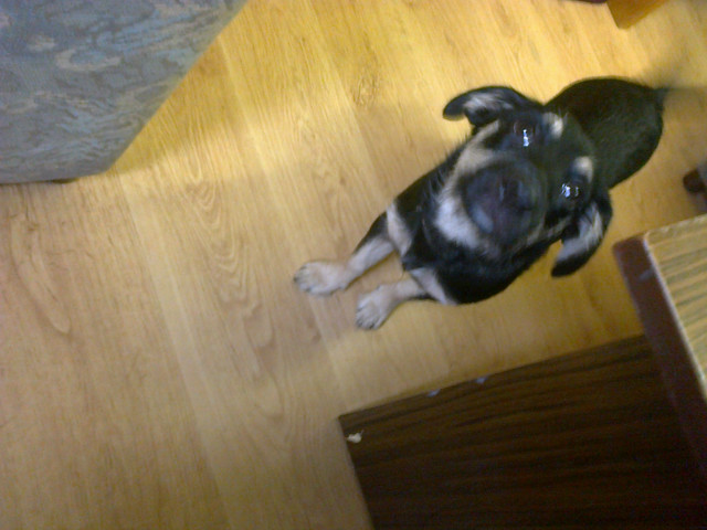nichaaaa seta ;*