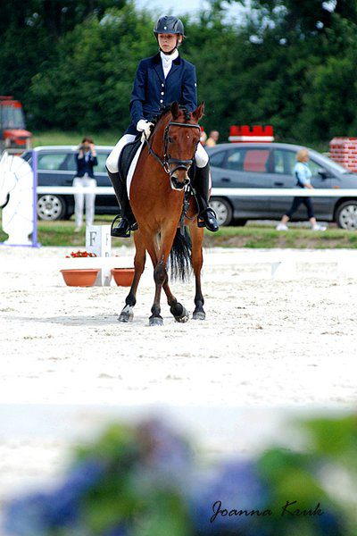 Zdoolny Pony 