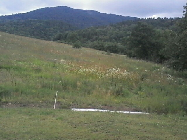 Bieszczady 