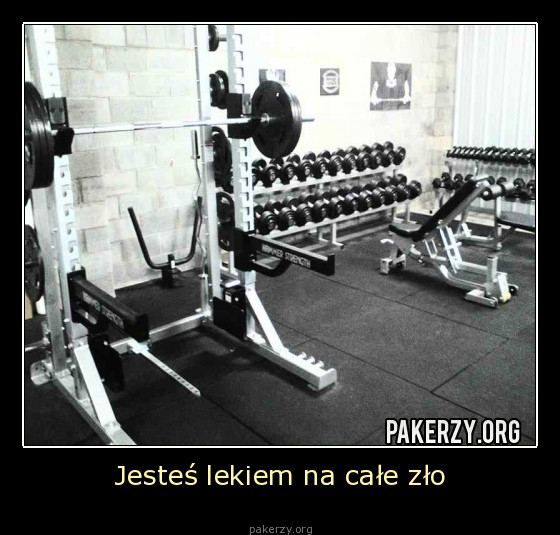 No Pain No Gan 
