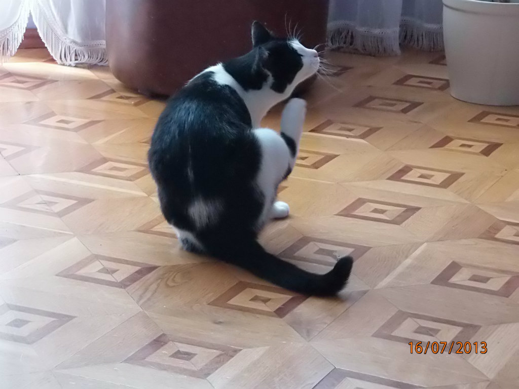 Drapanie ;p