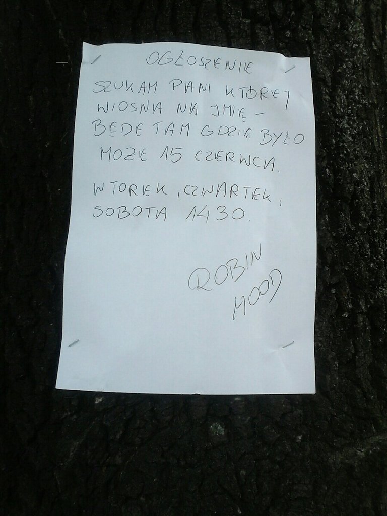 Robin Hood
