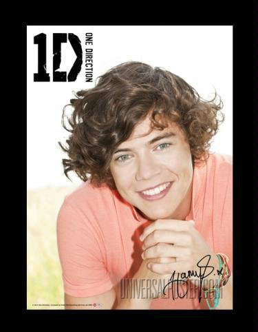 ,,Oto jest Harry Styles''