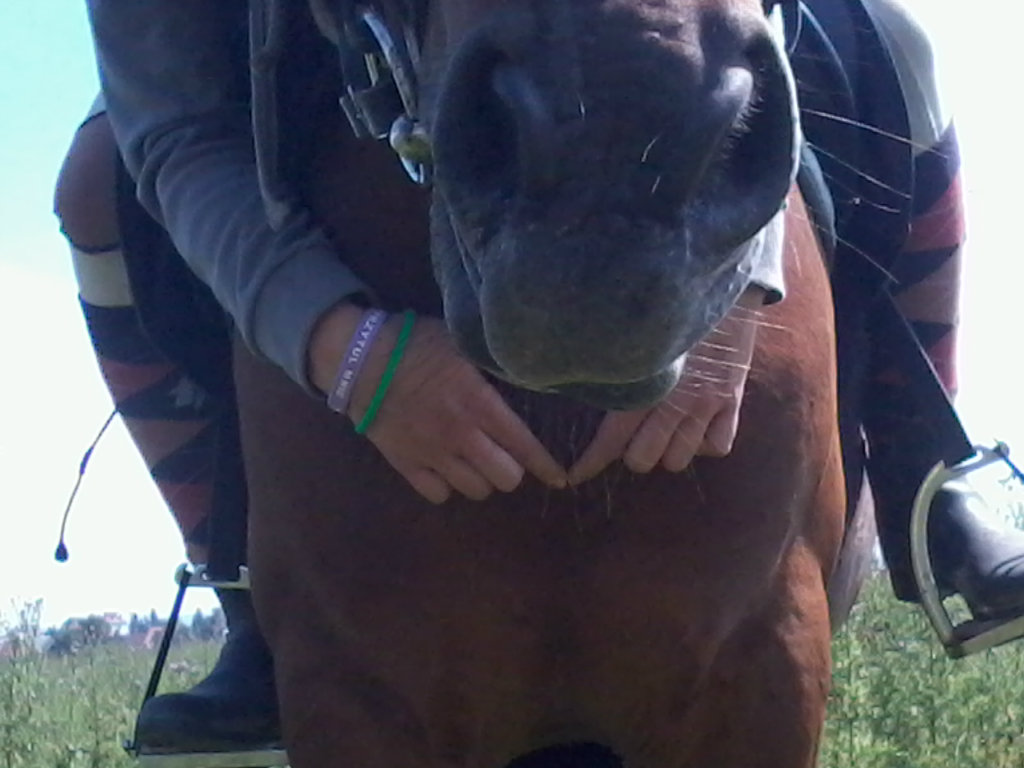 Powj :)
