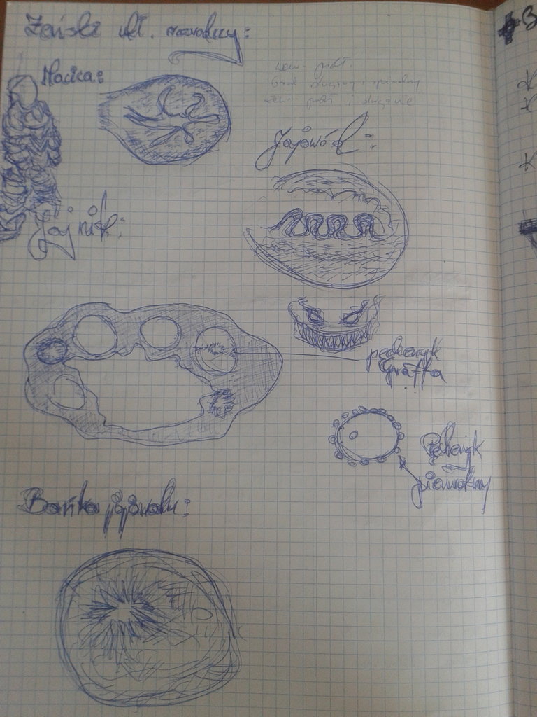 Trening nr. 3