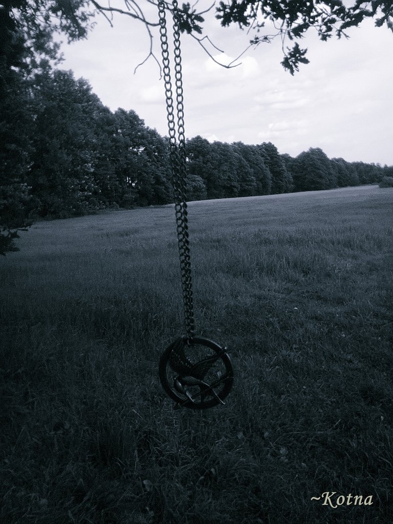 the hunger games &#9829;
