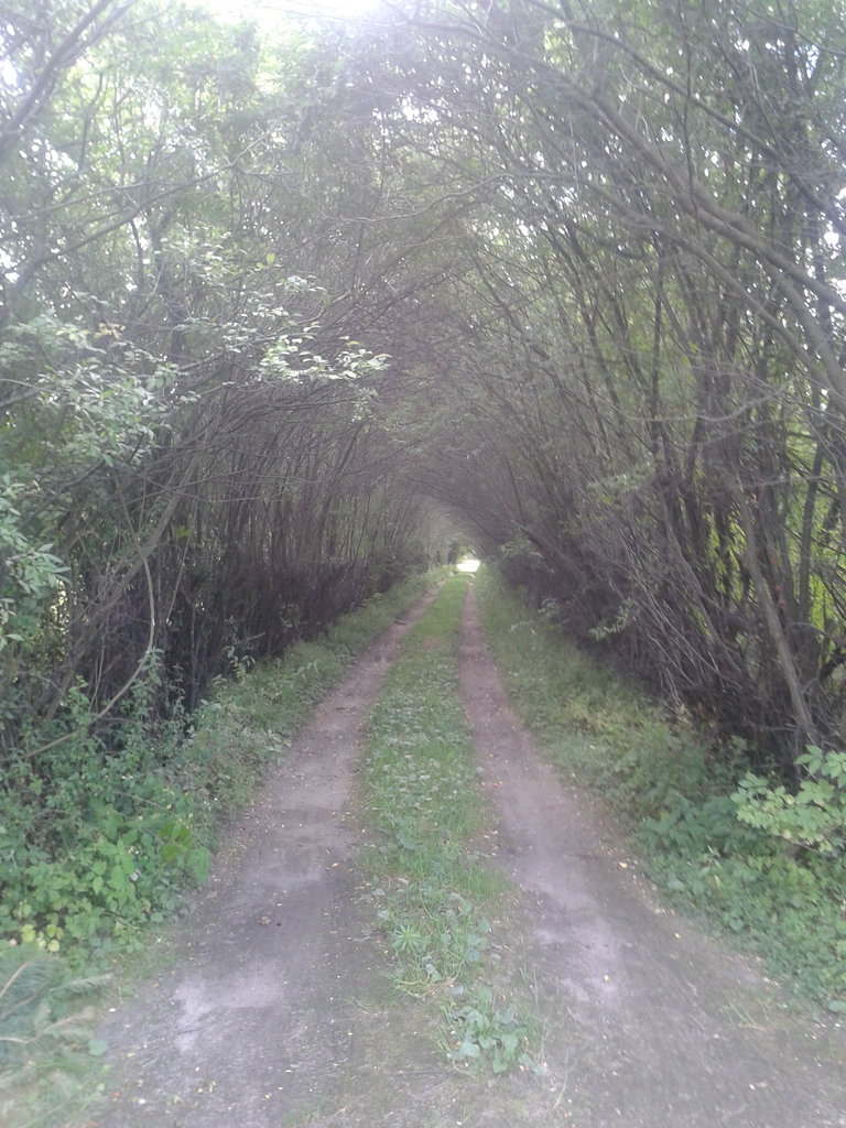 Kolejny dzien. :D