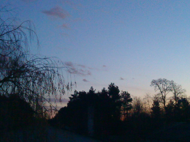 widok