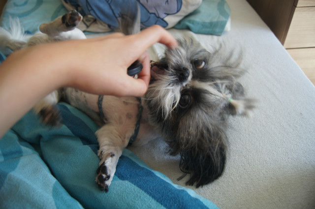 Wariatka ;p