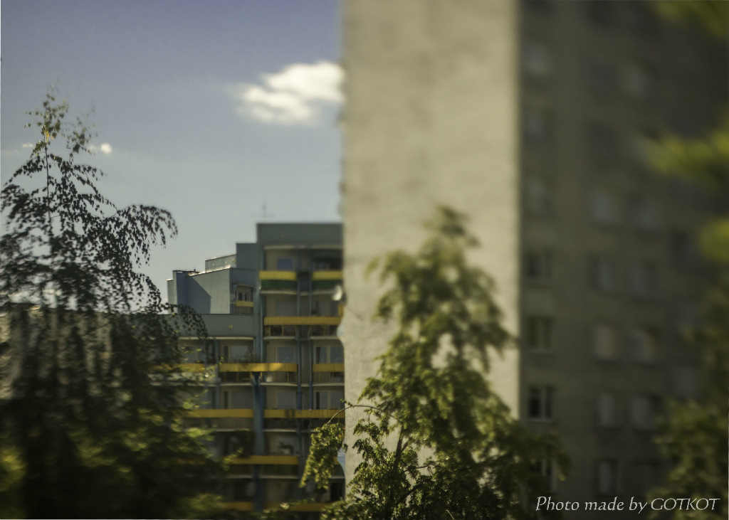 207. Podwieczorek