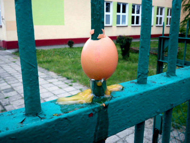 Egg.