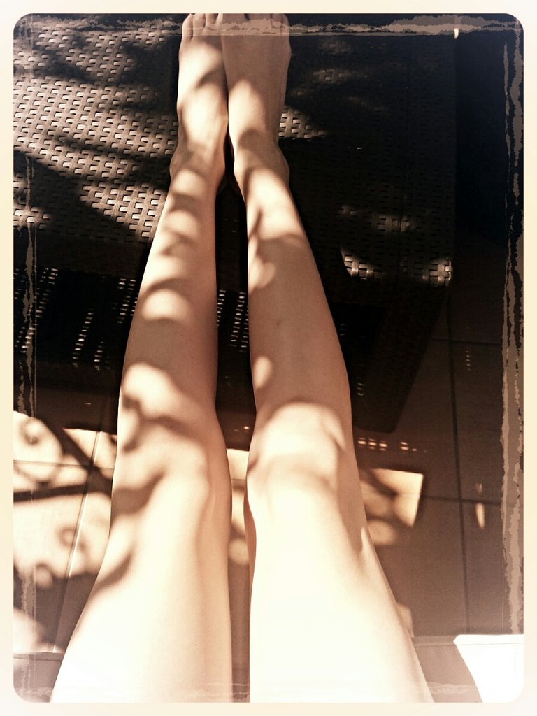 Legs