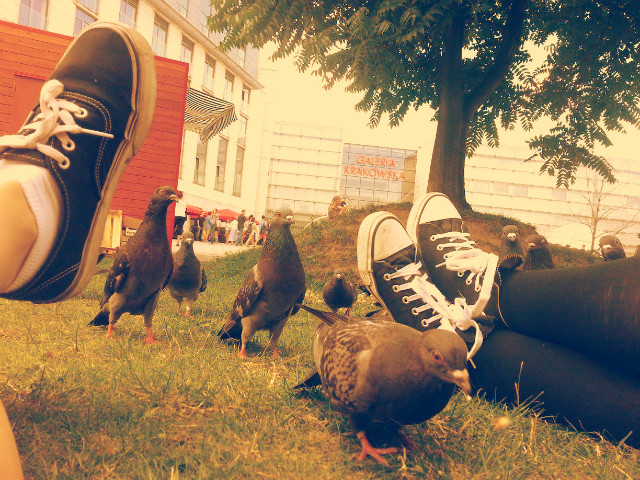 don't stop!
