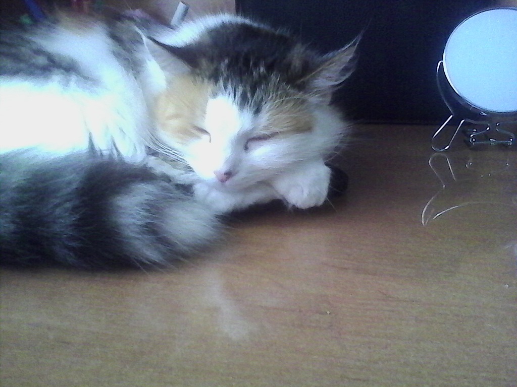 Mojaaa 