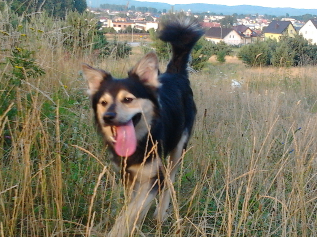 Sky ^^