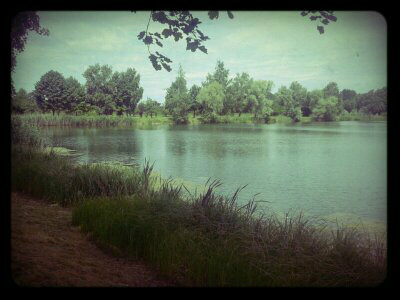 Jezioro 