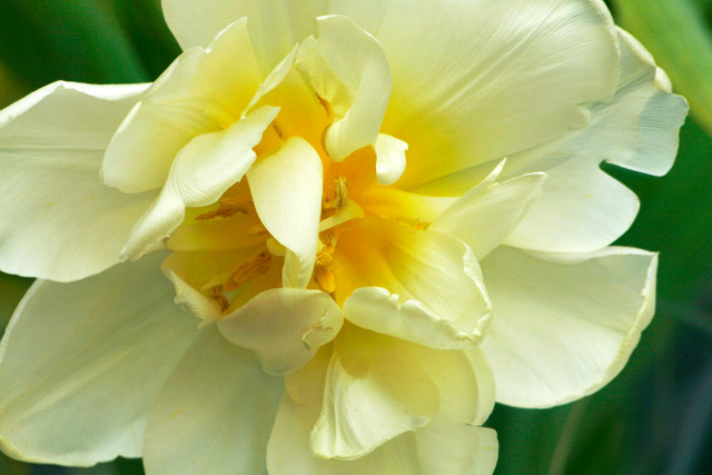 macro.