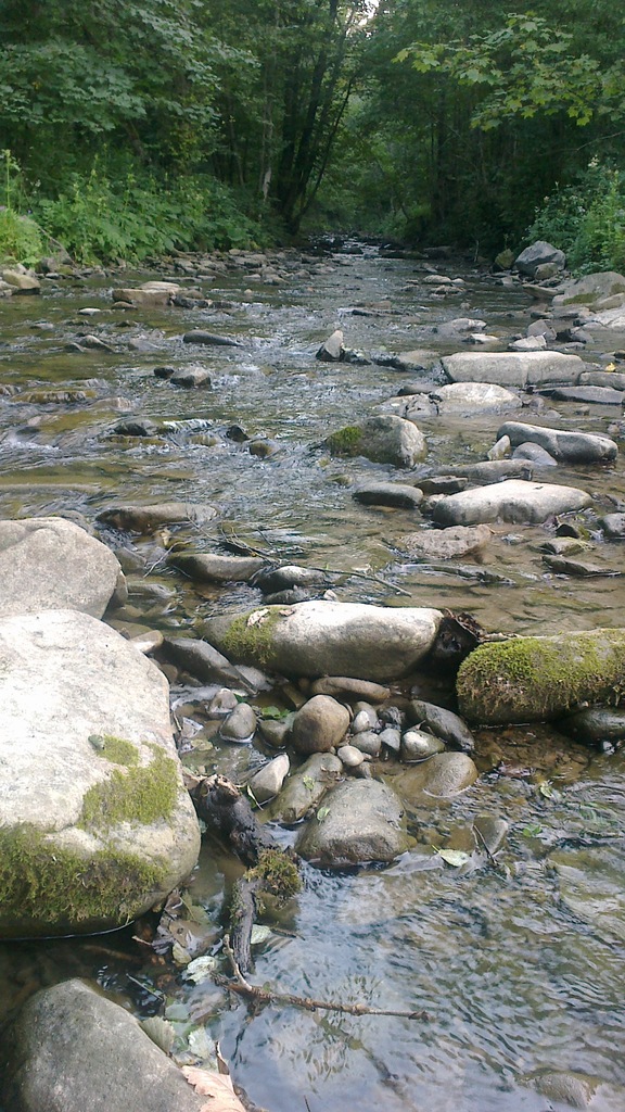 Bieszczady