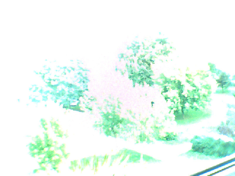 Dewka