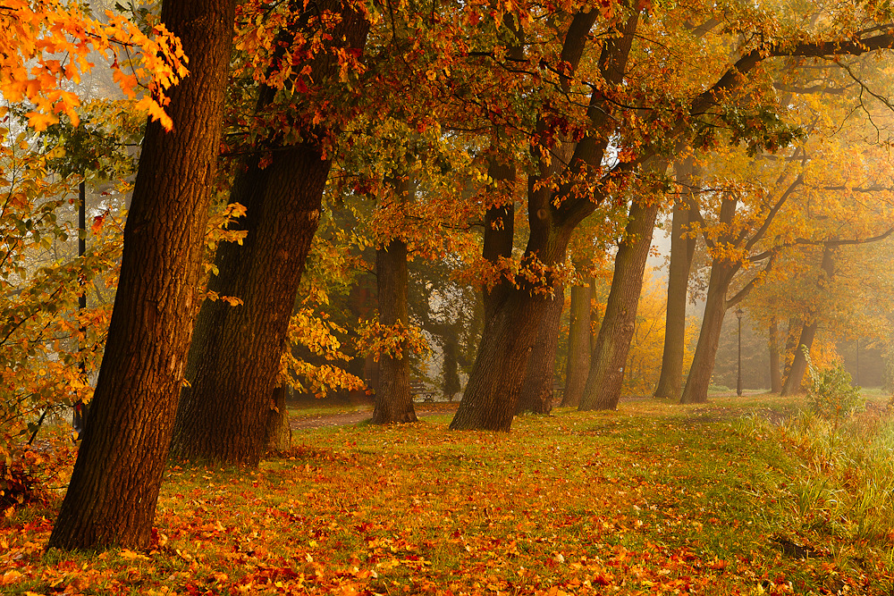 autumn time