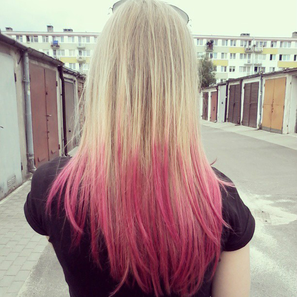 kocwki *.*