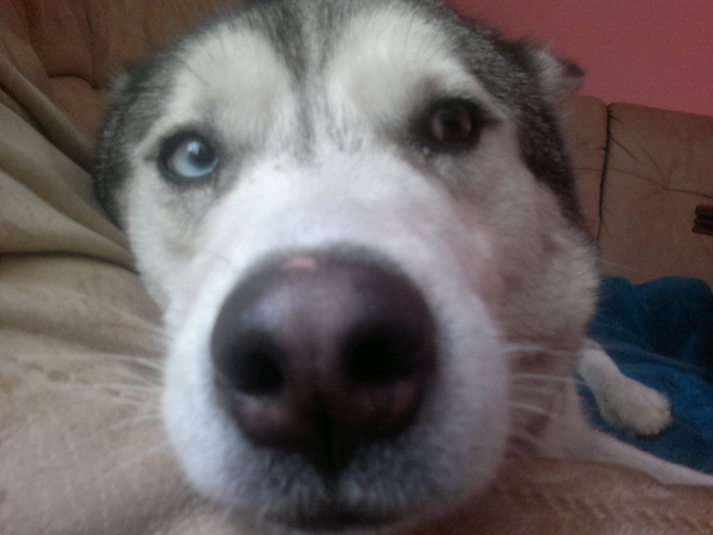 taka , tam sofia ;p