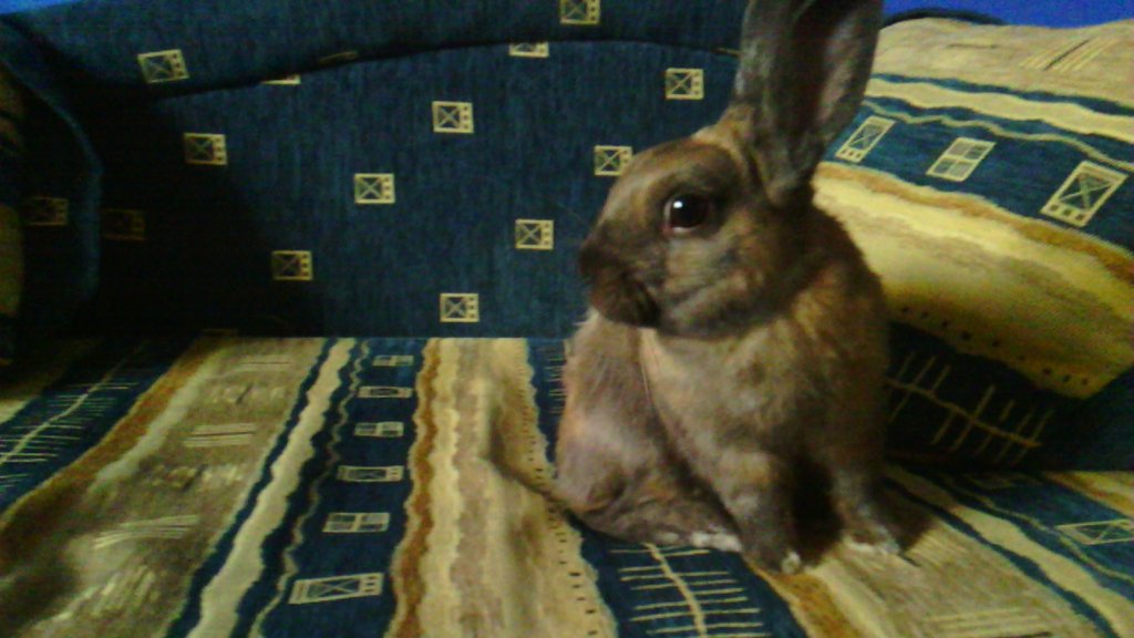This is Benio!!!