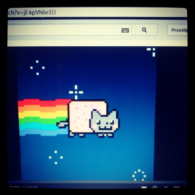 nayancat