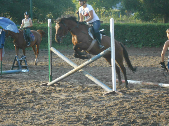 Roki ; ) 