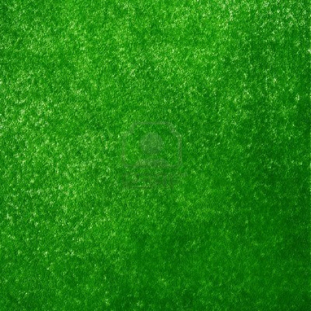 zielono mi
