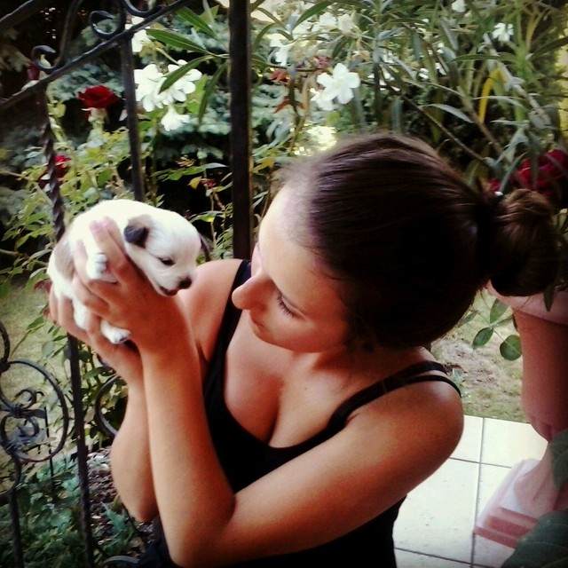 love
