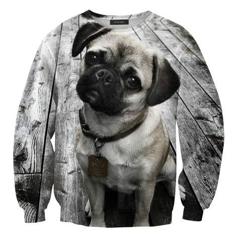 Bluza