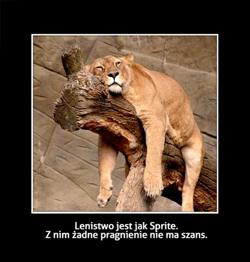Lenistwo :D