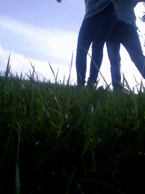 siemsiem D: