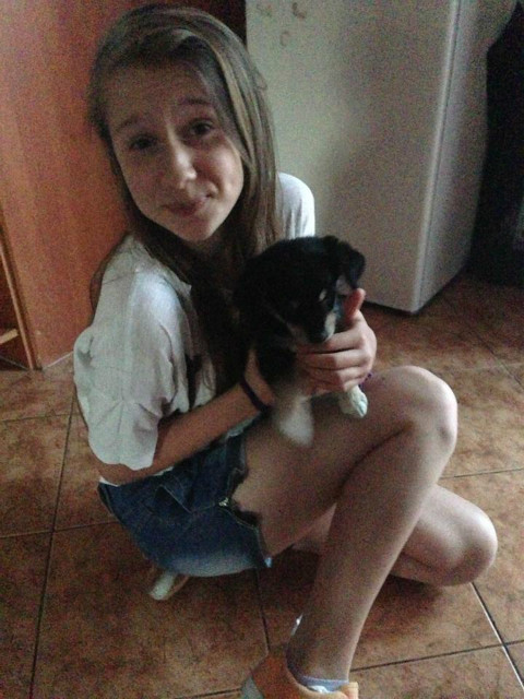 yop yop 