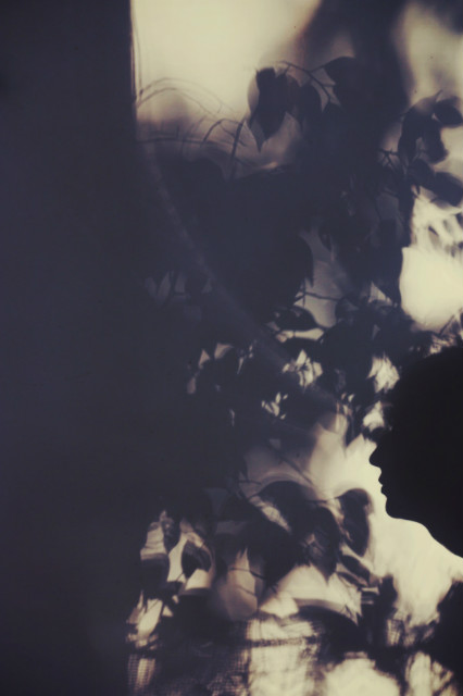 shadow