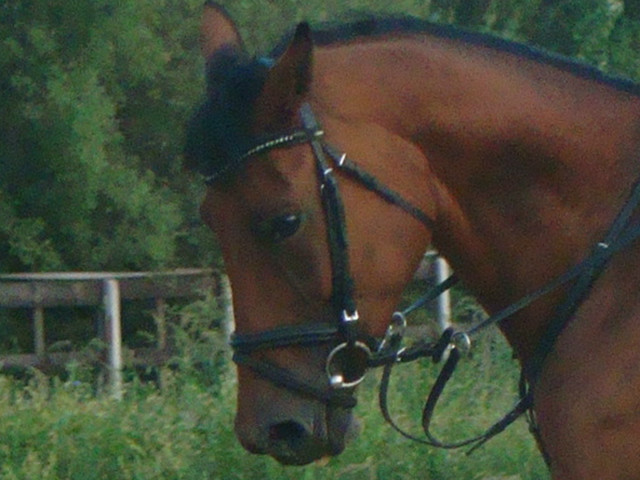 Wtorek :D