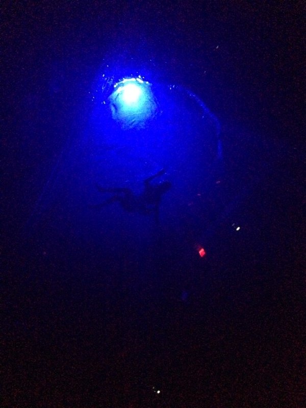 Fuerza Bruta