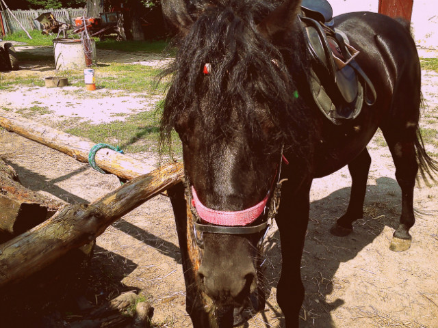 Nemusiovelove.