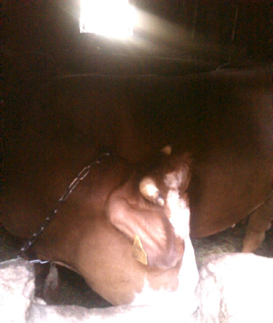 love all alight