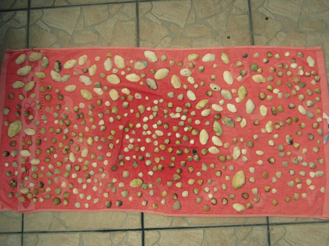 151 . 