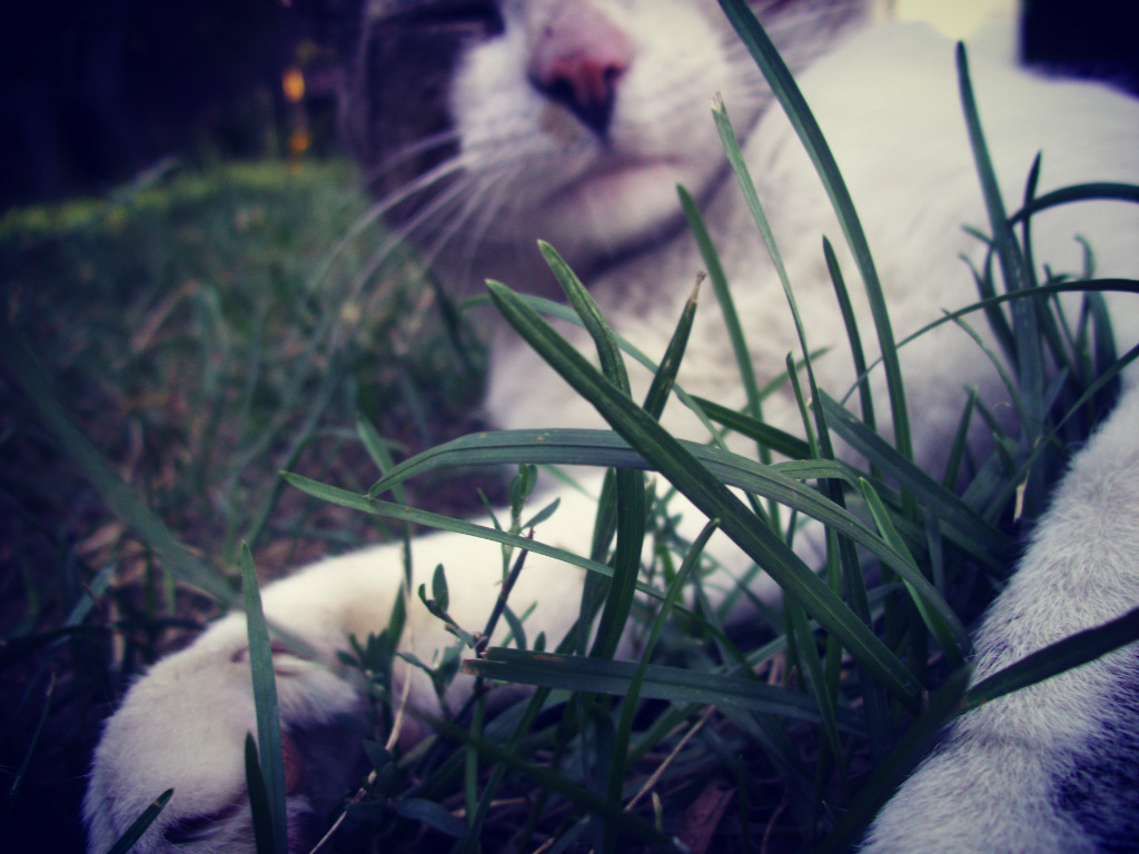No hejciaaa :)
