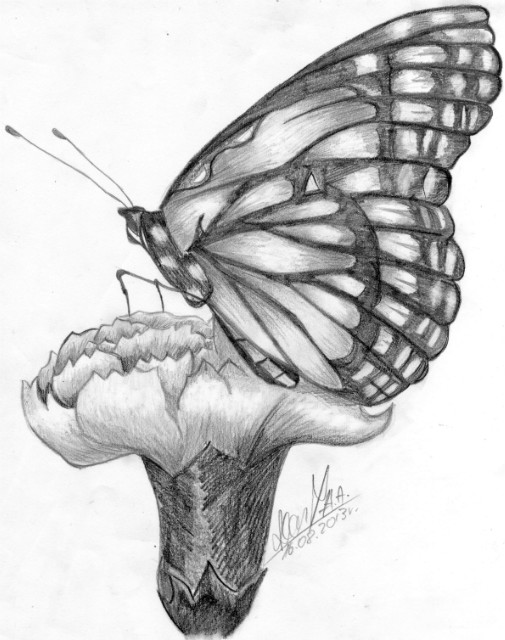 wiczenie Motyl