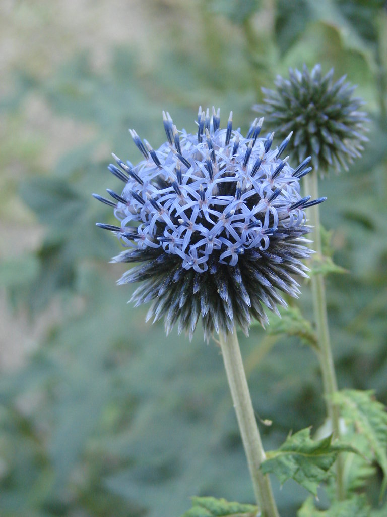 57.