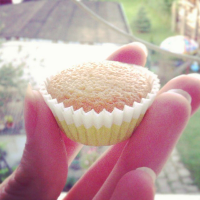 FAT CAKE