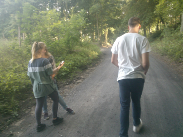 grubasy w lesie
