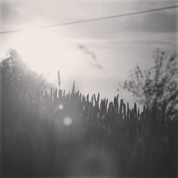 W paczu.
