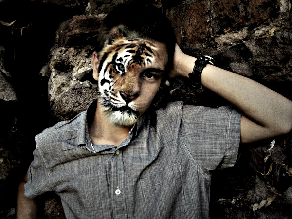 Lion life... 