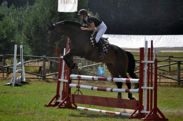 Tarka 2013