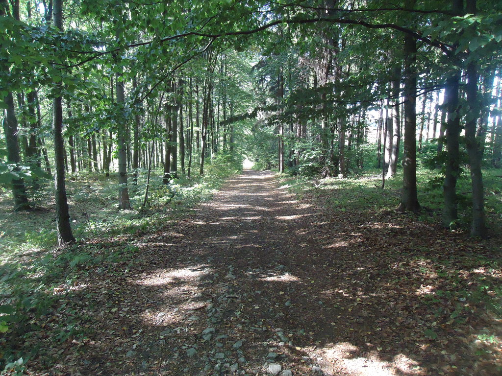 cieki Morawskiego Krasu